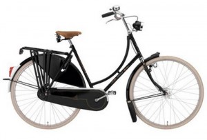 gazelle-bike2-300x203 gazelle-bike2-300x203