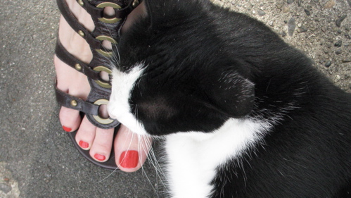 sandal-bernie sandal-bernie