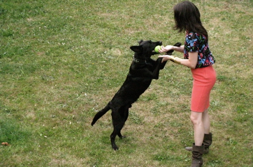 tug-of-war