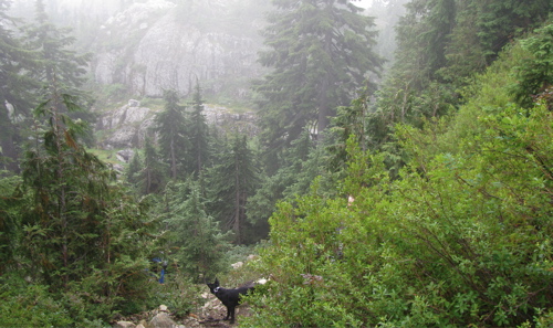 mount-seymour-peak-hike