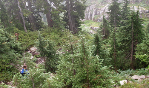 mt-seymour-peak-hike