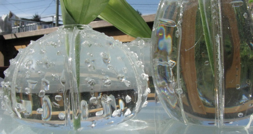 urchin-vases