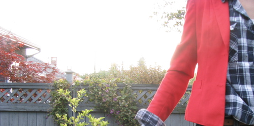 blue-plaid-red-jacket