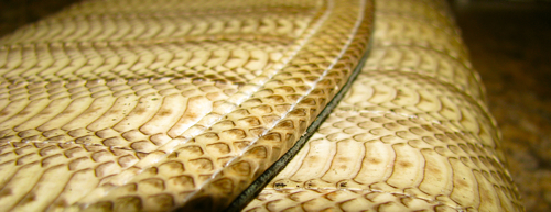 snake-skin-purse1