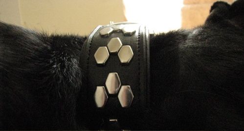 leather-dog-collar-studs leather-dog-collar-studs