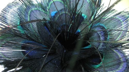 alice-hart-feather-headpiece