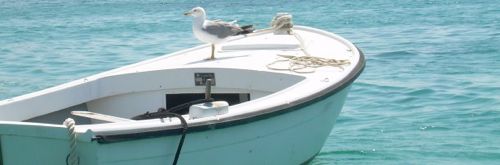 boat-bird-cropped-croatia
