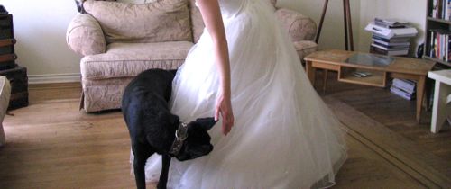 vintage-wedding-dress-leroy vintage-wedding-dress-leroy