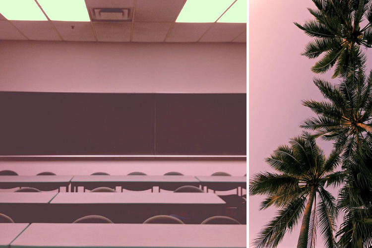 Classroom and Palm Trees