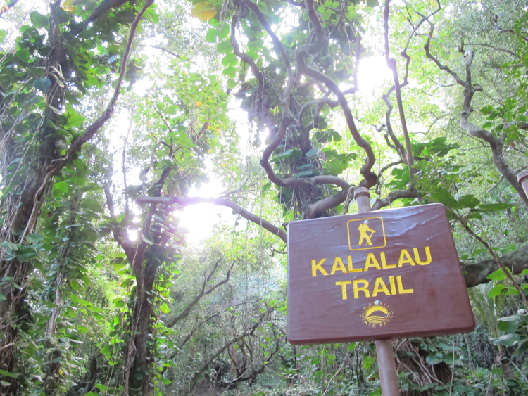 Kalalau Trailhead Kauai