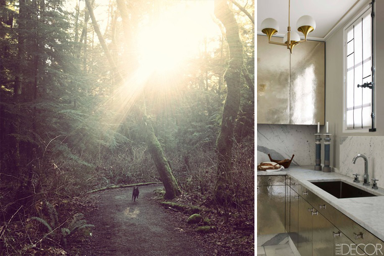 Woods and gold